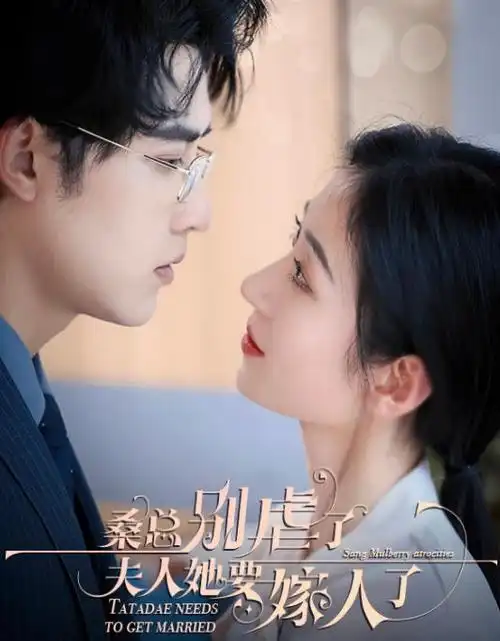 白塔档案 热播电视剧全集在线观看